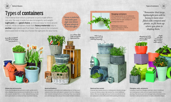 Indoor Edible Garden: Creative Ways to Grow Herbs, Fruits, and Vegetables in Your Home