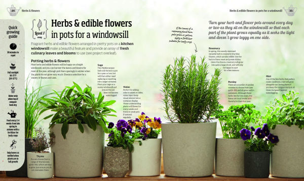 Indoor Edible Garden: Creative Ways to Grow Herbs, Fruits, and Vegetables in Your Home