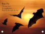 Alternative view 2 of All About Bats: Explore the World of Bats! (DK Readers Level 1 Series)