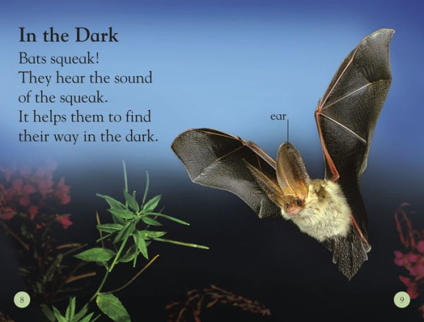 All About Bats: Explore the World of Bats! (DK Readers Level 1 Series)