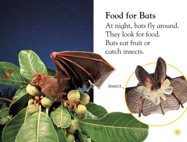 All About Bats: Explore the World of Bats! (DK Readers Level 1 Series)