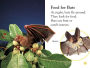 Alternative view 4 of All About Bats: Explore the World of Bats! (DK Readers Level 1 Series)