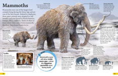 Alternative view 2 of DKfindout! Stone Age