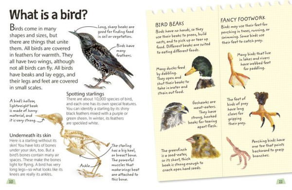 Birds: Explore Nature with Fun Facts and Activities