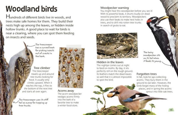 Birds: Explore Nature with Fun Facts and Activities