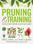 Alternative view 1 of Pruning and Training, Revised New Edition: What, When, and How to Prune