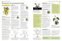 Alternative view 2 of Pruning and Training, Revised New Edition: What, When, and How to Prune