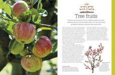Alternative view 3 of Pruning and Training, Revised New Edition: What, When, and How to Prune
