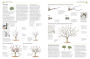 Alternative view 4 of Pruning and Training, Revised New Edition: What, When, and How to Prune
