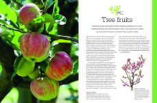 Alternative view 5 of Pruning and Training, Revised New Edition: What, When, and How to Prune