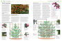 Alternative view 6 of Pruning and Training, Revised New Edition: What, When, and How to Prune