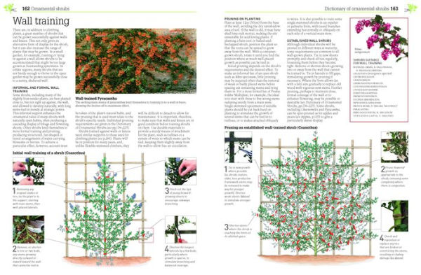 Pruning and Training, Revised New Edition: What, When, and How to Prune