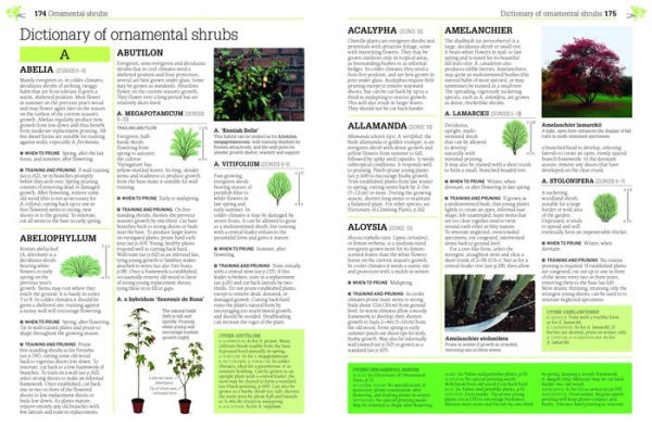 Pruning and Training, Revised New Edition: What, When, and How to Prune