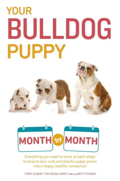 Your Bulldog Puppy Month by Month: Everything You Need to Know at Each Stage Ensure Cute and Playful