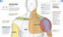 Alternative view 3 of Medical Symptoms: A Visual Guide: The Easy Way to Identify Medical Problems