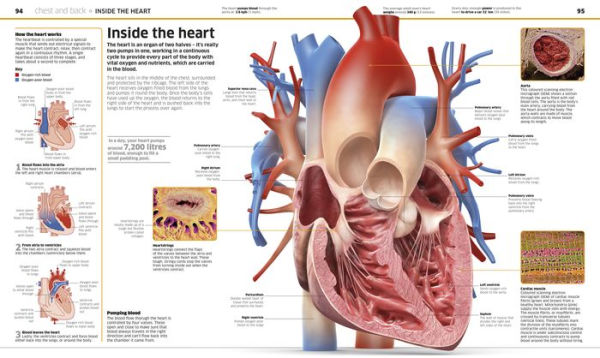 Knowledge Encyclopedia Human Body!