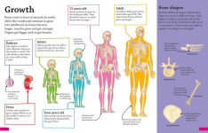 Alternative view 2 of DKfindout! Human Body