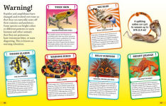 Alternative view 4 of DKfindout! Reptiles and Amphibians