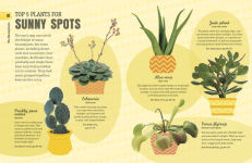 Alternative view 2 of How Not to Kill Your Houseplant: Survival Tips for the Horticulturally Challenged