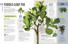 Alternative view 3 of How Not to Kill Your Houseplant: Survival Tips for the Horticulturally Challenged