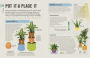 Alternative view 4 of How Not to Kill Your Houseplant: Survival Tips for the Horticulturally Challenged