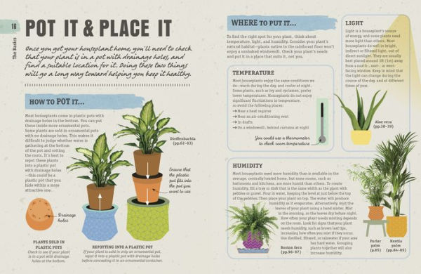 How Not to Kill Your Houseplant: Survival Tips for the Horticulturally Challenged