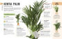 Alternative view 6 of How Not to Kill Your Houseplant: Survival Tips for the Horticulturally Challenged