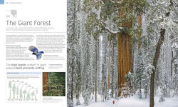 Alternative view 4 of Natural Wonders of the World