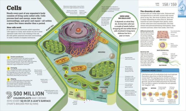 How Science Works: The Facts Visually Explained