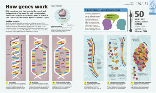 How Science Works: The Facts Visually Explained