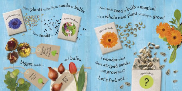 I Can Grow a Flower by DK, Board Book | Barnes & Noble®