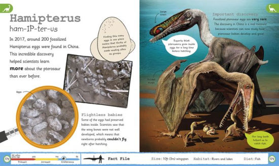 My Encyclopedia Of Very Important Dinosaurs: Discover More Than 80 ...