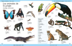 Alternative view 2 of First Spanish Dictionary