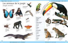 Alternative view 4 of First French Dictionary: A First Reference Book for Children