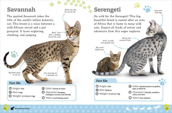 The Everything Book of Cats and Kittens