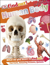 Title: DK findout! Human Body, Author: Dorling Kindersley Publishing Staff