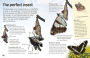 Alternative view 3 of Butterflies and Moths: Explore Nature with Fun Facts and Activities