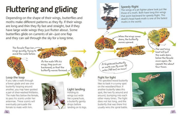 Butterflies and Moths: Explore Nature with Fun Facts and Activities