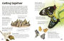Alternative view 5 of Butterflies and Moths: Explore Nature with Fun Facts and Activities