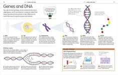 Alternative view 2 of How to Be Good at Science, Technology, and Engineering