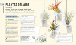 Alternative view 4 of Cómo no matar tus plantas (How Not to Kill Your Houseplant): Consejos y cuidados para que tus plantas de interior sobrevivan