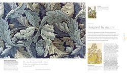 Alternative view 5 of Flora: Inside the Secret World of Plants