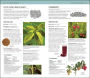 Alternative view 3 of Herbal Remedies Handbook: More Than 140 Plant Profiles; Remedies for Over 50 Common Conditions