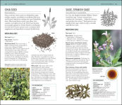 Alternative view 4 of Herbal Remedies Handbook: More Than 140 Plant Profiles; Remedies for Over 50 Common Conditions
