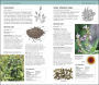 Alternative view 4 of Herbal Remedies Handbook: More Than 140 Plant Profiles; Remedies for Over 50 Common Conditions