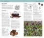 Alternative view 9 of Herbal Remedies Handbook: More Than 140 Plant Profiles; Remedies for Over 50 Common Conditions