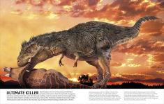 Alternative view 11 of The Dinosaur Book