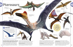 Alternative view 12 of The Dinosaur Book