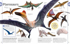 Alternative view 7 of The Dinosaur Book