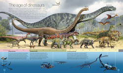 Alternative view 2 of Timelines of Everything